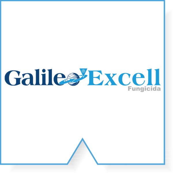 Galileo Excell