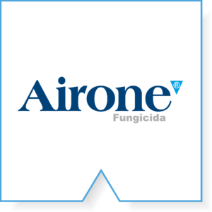 Airone
